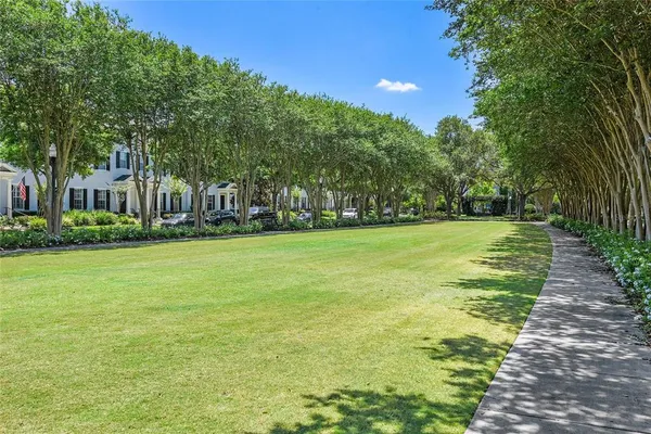 a garden with trees in front of it
