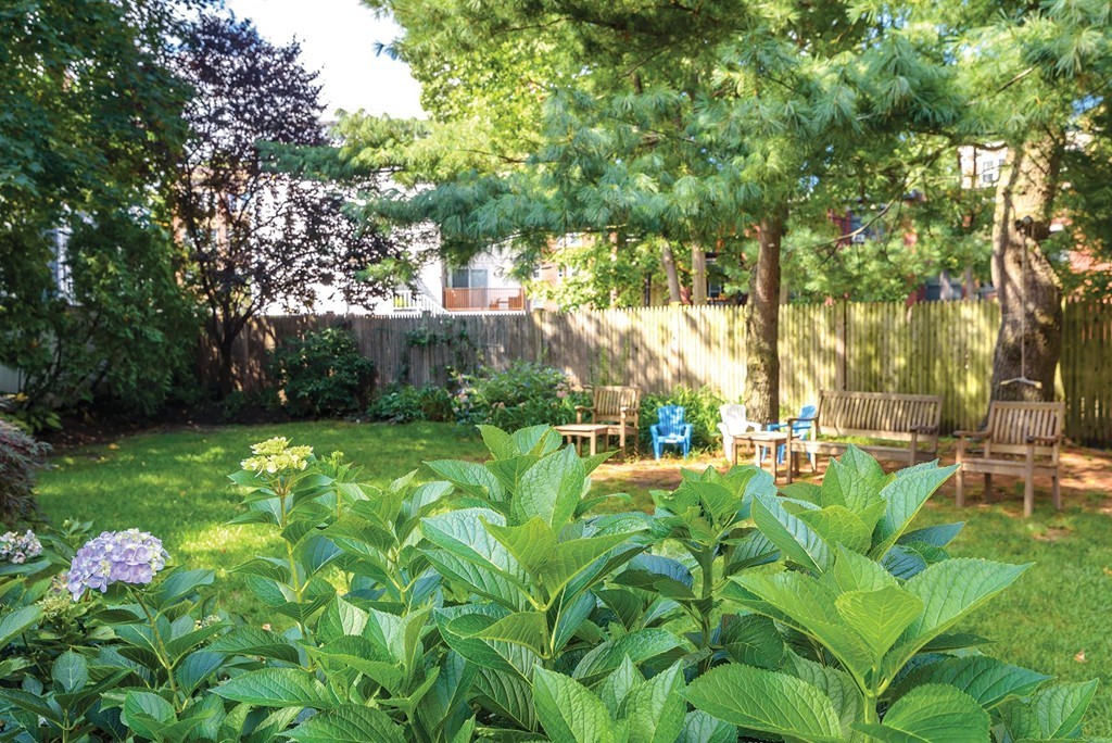 52 Kilsyth Road, Unit 1 Brookline, MA 02445 - Photo 14 of 16