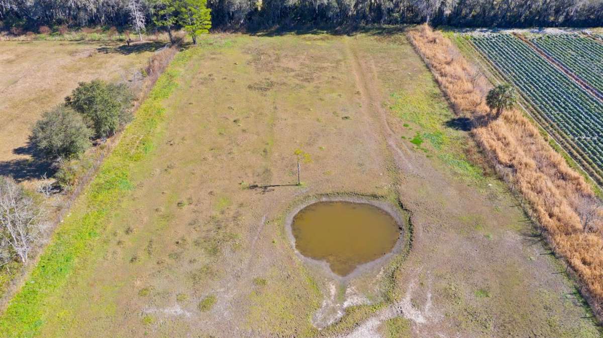 9710 Luther Beck Road Hastings, FL 32145 - Photo 31 of 35 Gallery Image 31