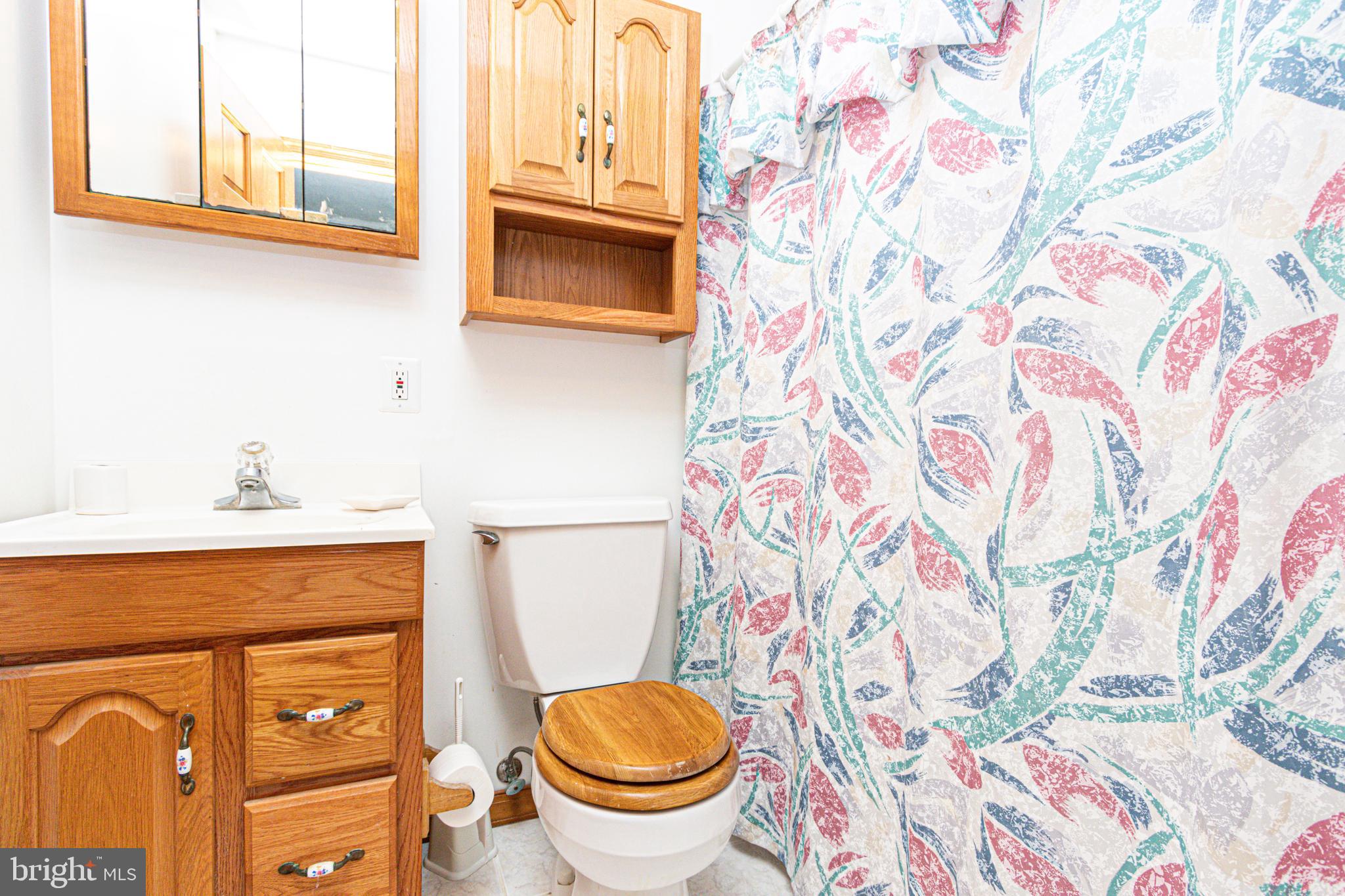 1834 Kitty Hawk Road Essex, MD 21221 - Photo 66 of 103 Bathroom