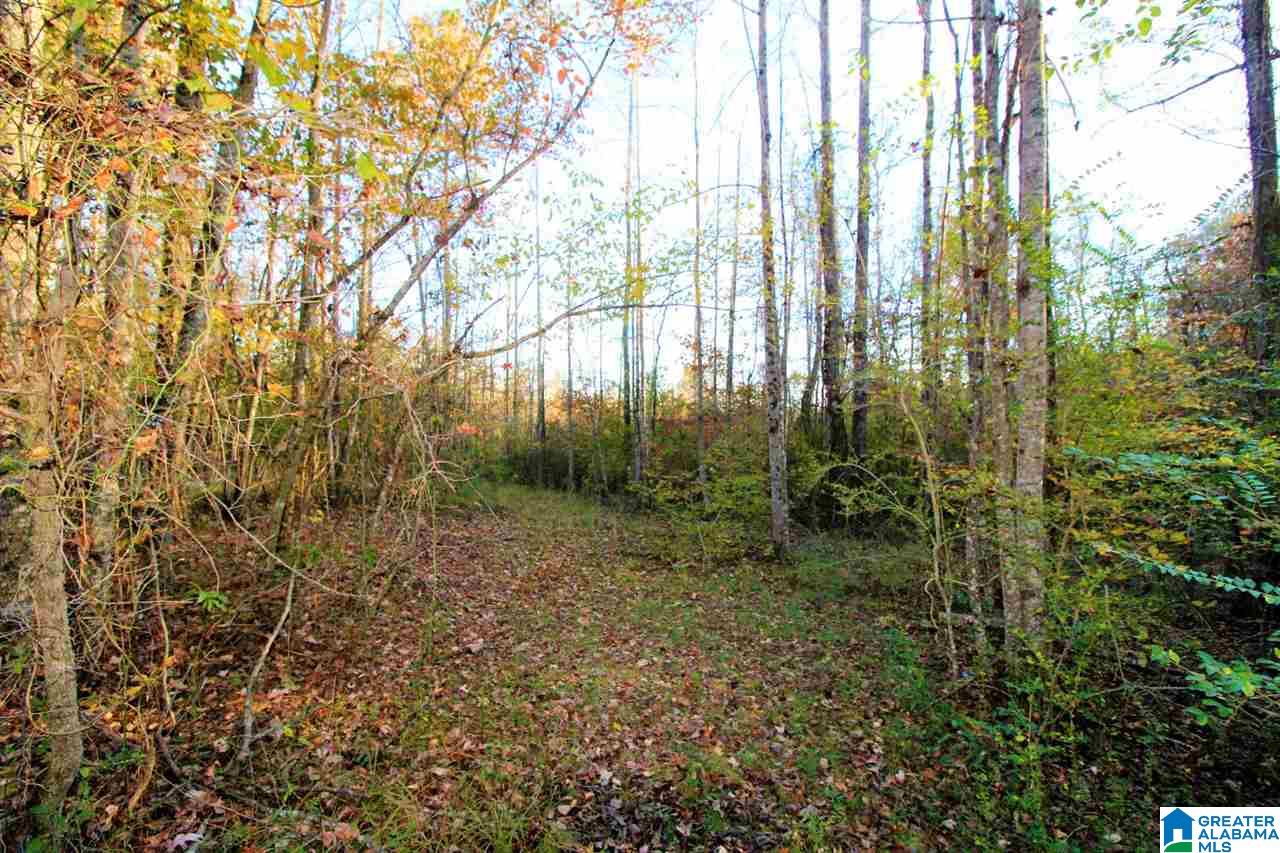 584 Greensport Road Ohatchee, AL 36271 - Photo 2 of 9