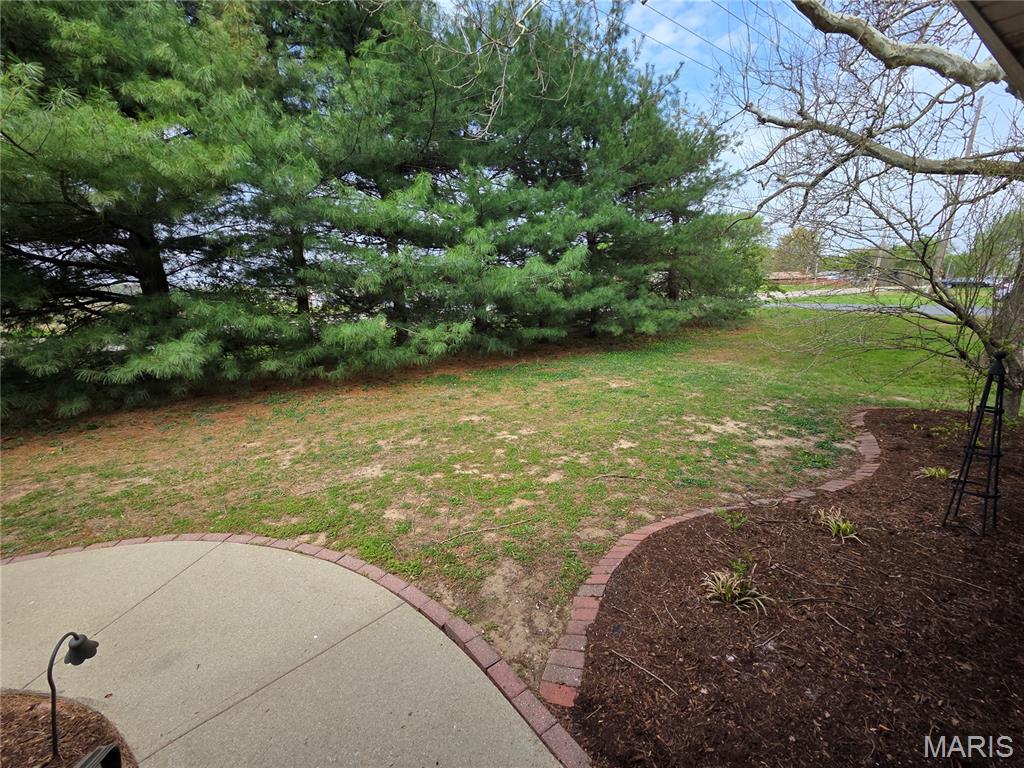 184 South Green Mt Road Belleville, IL 62221 - Photo 18 of 54