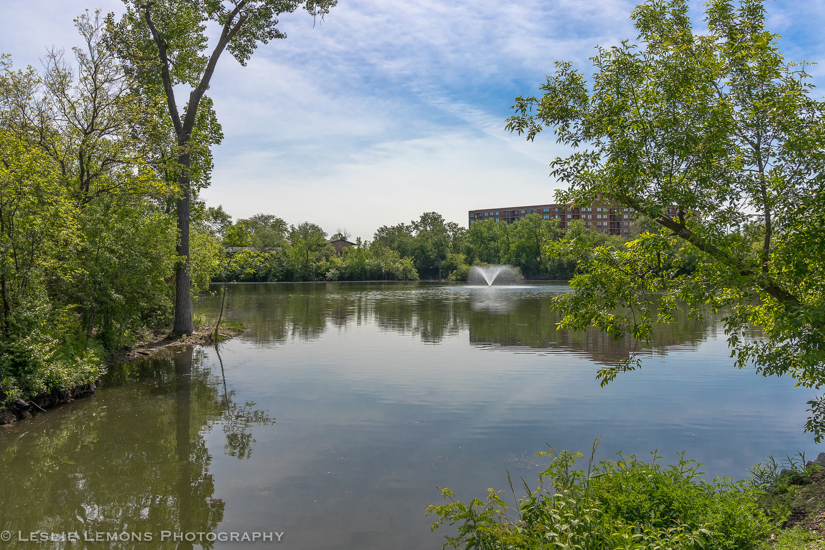5902 Forest View Road, Unit 1C Lisle, IL 60532 - Photo 28 of 34 a view of a lake with a house in the background