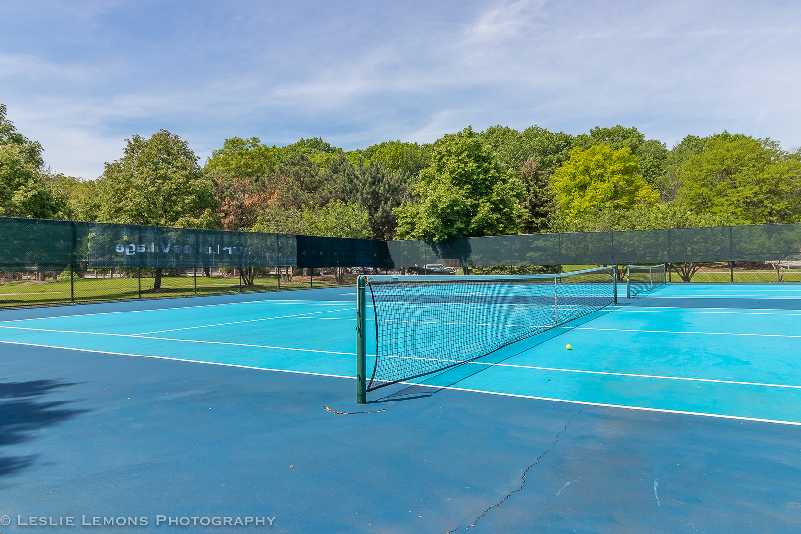 5902 Forest View Road, Unit 1C Lisle, IL 60532 - Photo 29 of 34 a view of a tennis court