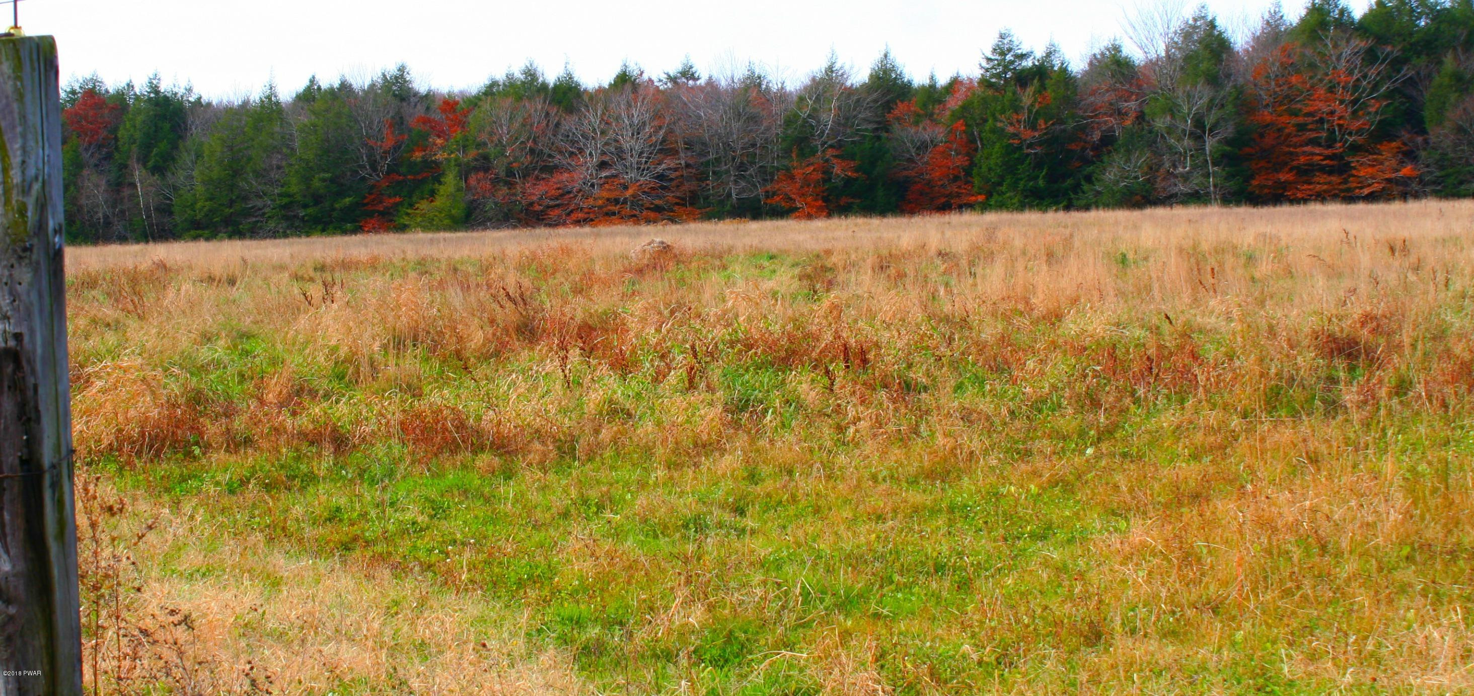 Lot E Lot E North Road Pleasant Mount, PA 18453 - Photo 6 of 7