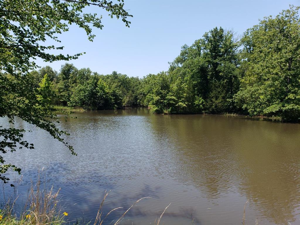 Water view featuring a forest