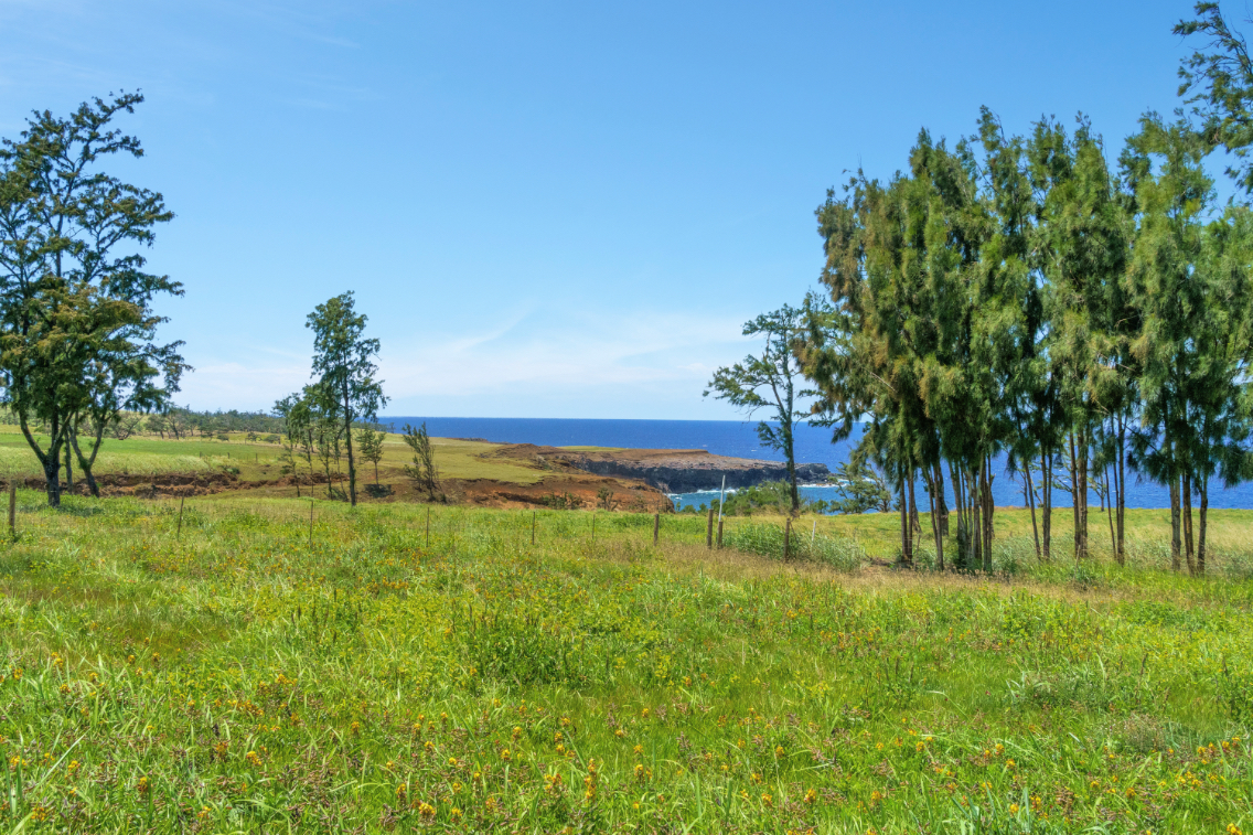 55-199 Hoea Road Hawi, HI 96719 - Photo 19 of 19