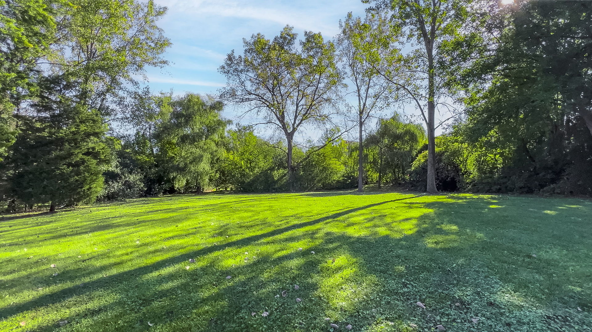 6403 South Garfield Street Burr Ridge, IL 60527 - Photo 86 of 95