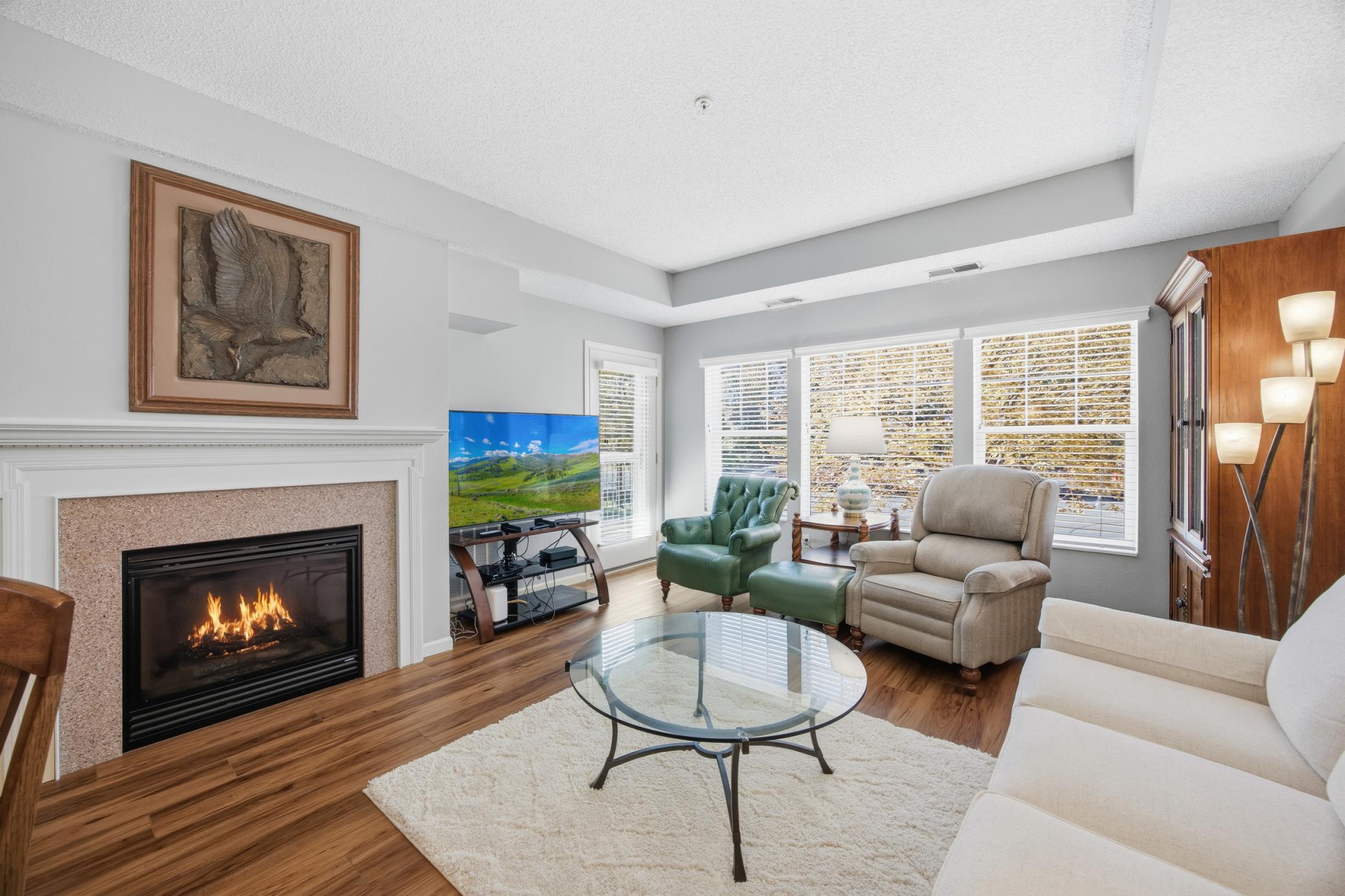 3800 85th Avenue North, Unit 117 Brooklyn Park, MN 55443 - Photo 5 of 21