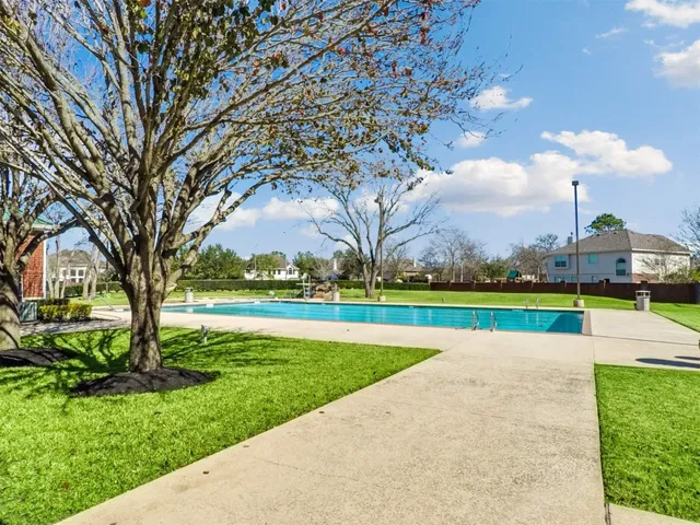 a view of a park with large trees