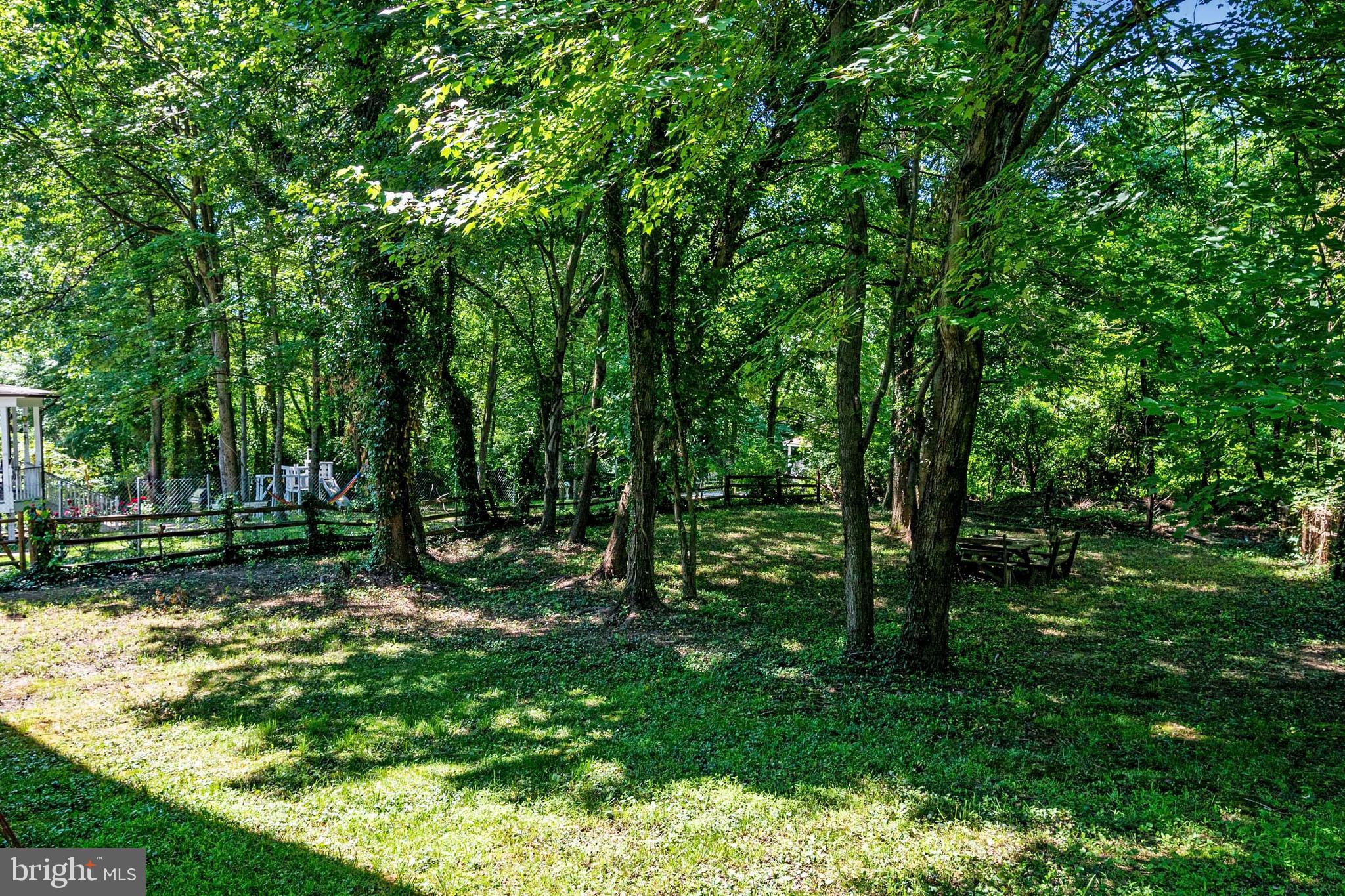 2209 Cool Spring Road Adelphi, MD 20783 - Photo 36 of 44 Rear Yard