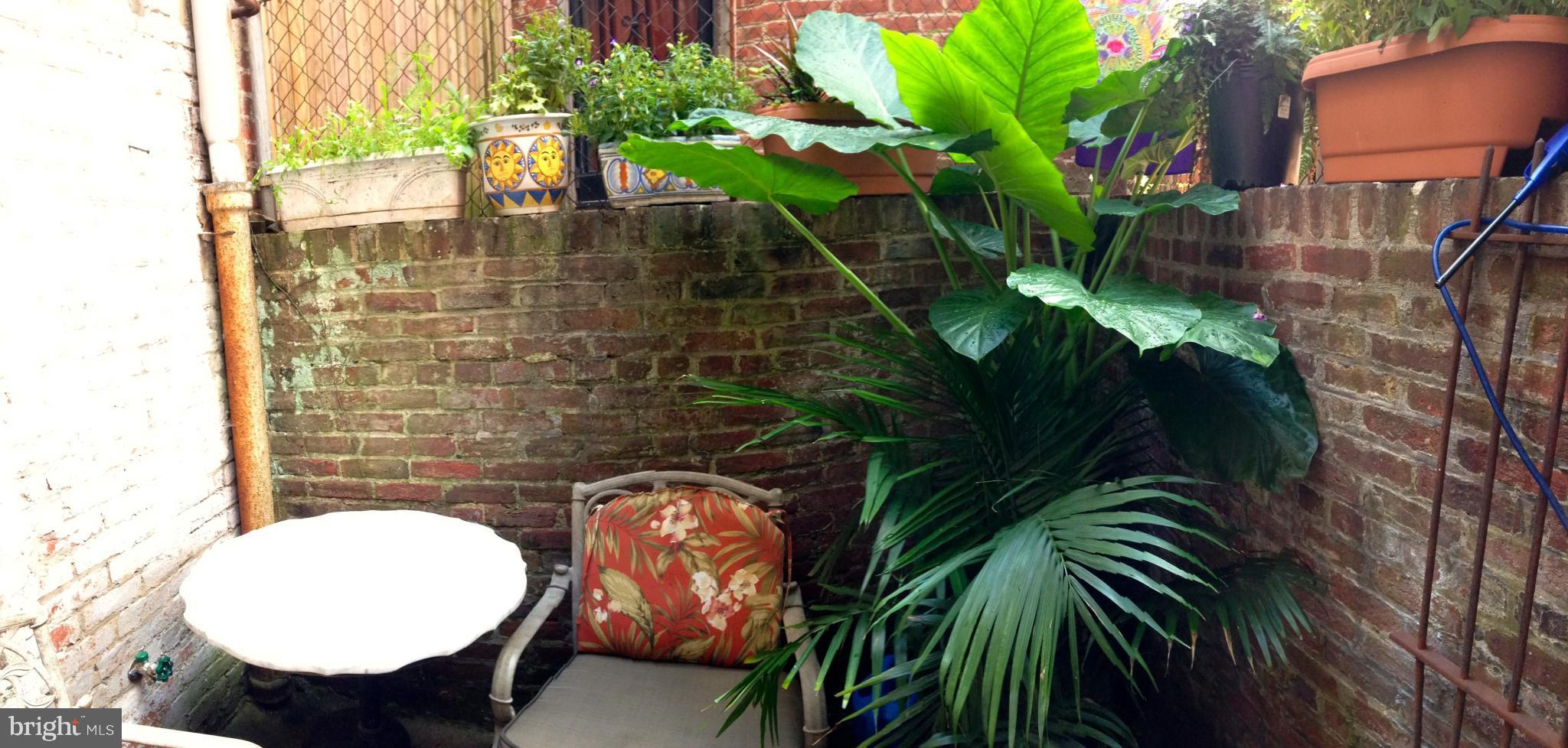 808 North Carolina Avenue Southeast Washington, DC 20003 - Photo 40 of 43 Exterior Patio