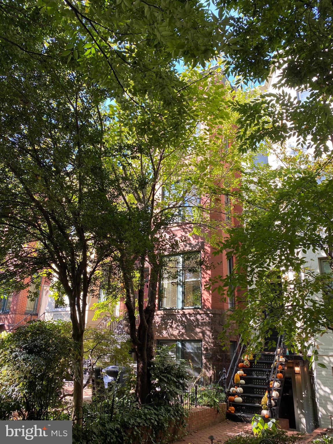 808 North Carolina Avenue Southeast Washington, DC 20003 - Photo 6 of 43