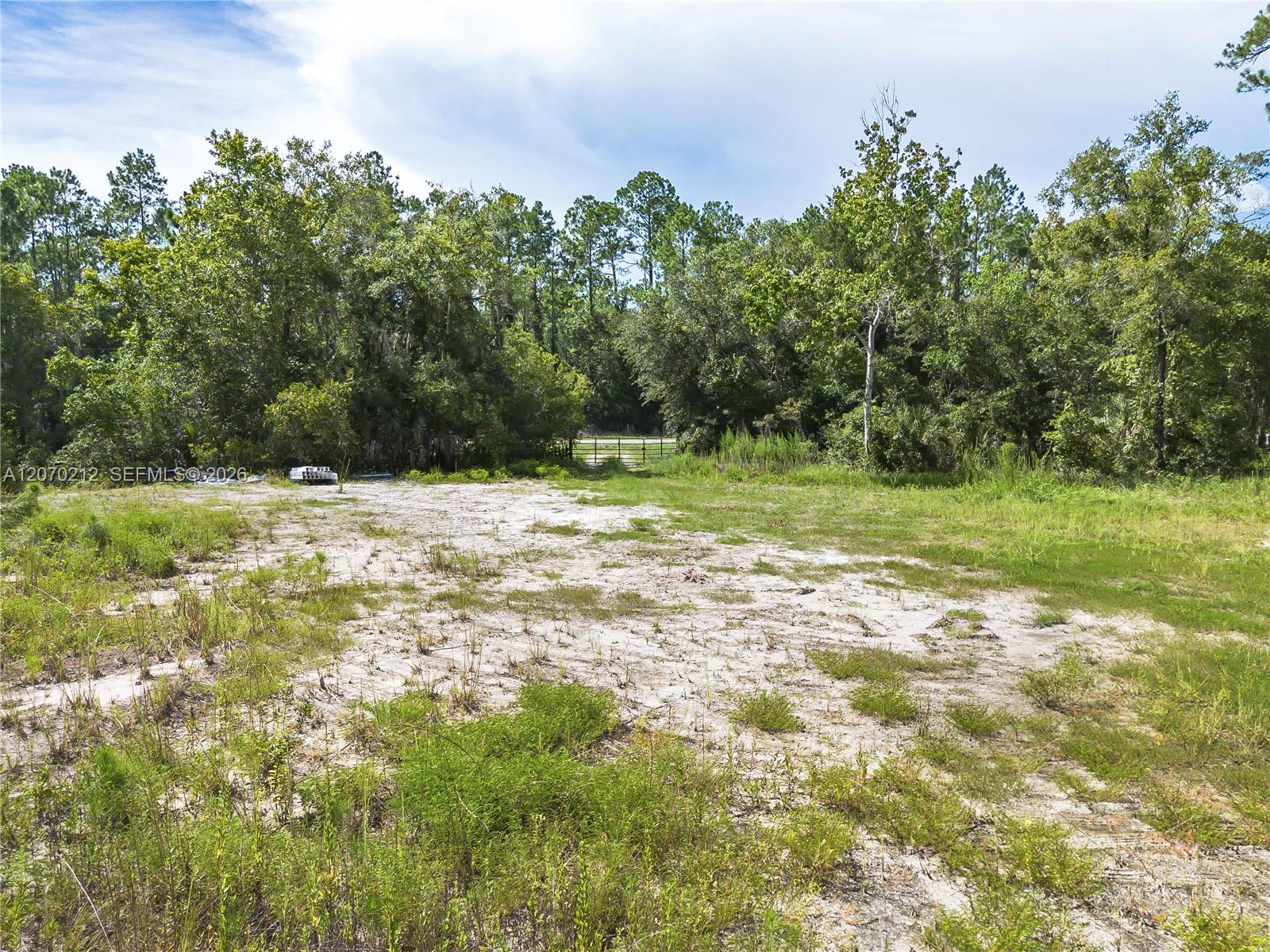 1349 Water Oak Road Bunnell, FL 32110 - Photo 14 of 22 Gallery Image 14