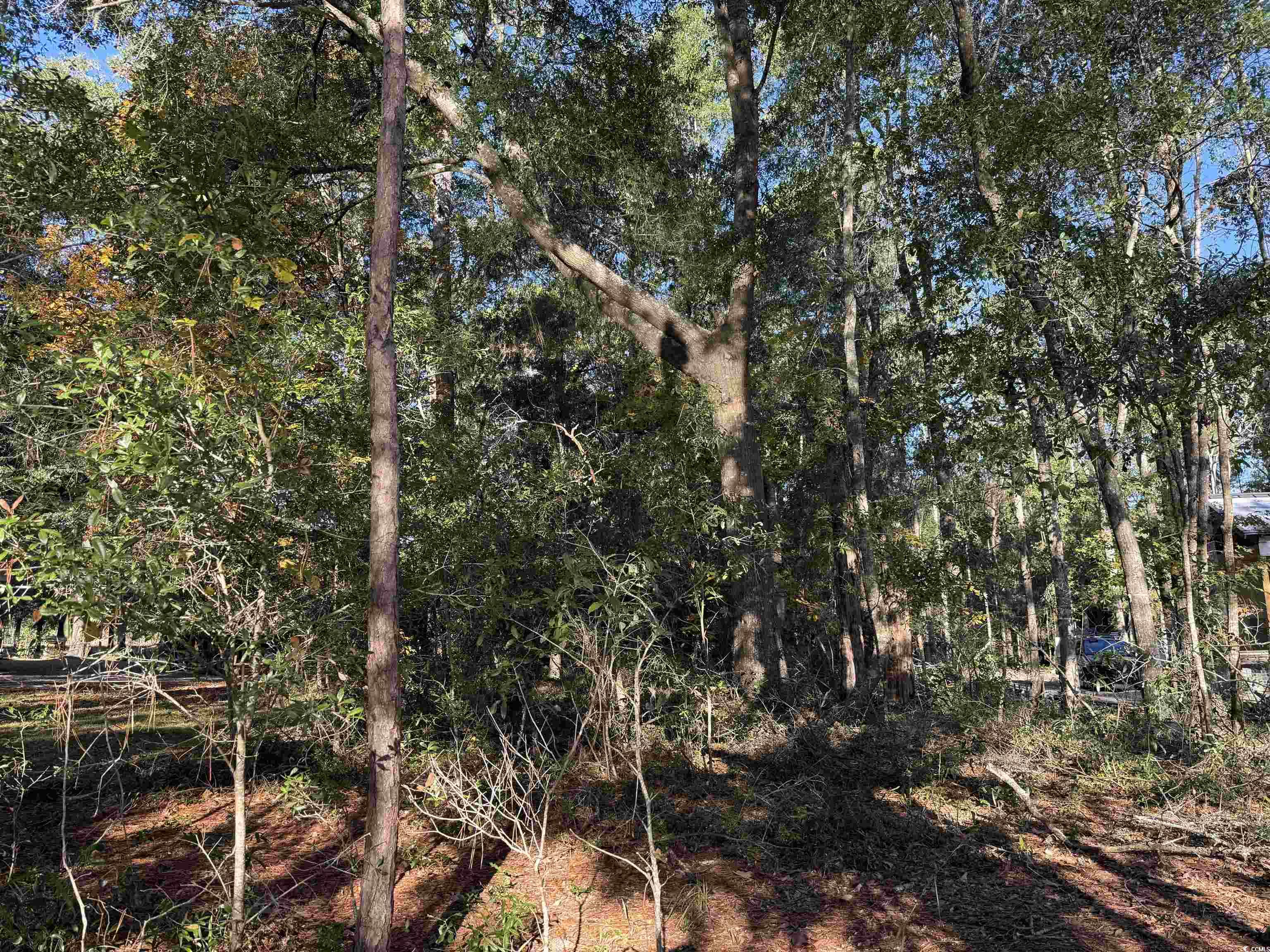 476 Apache Road Georgetown, SC 29440 - Photo 7 of 14 Gallery Image 7