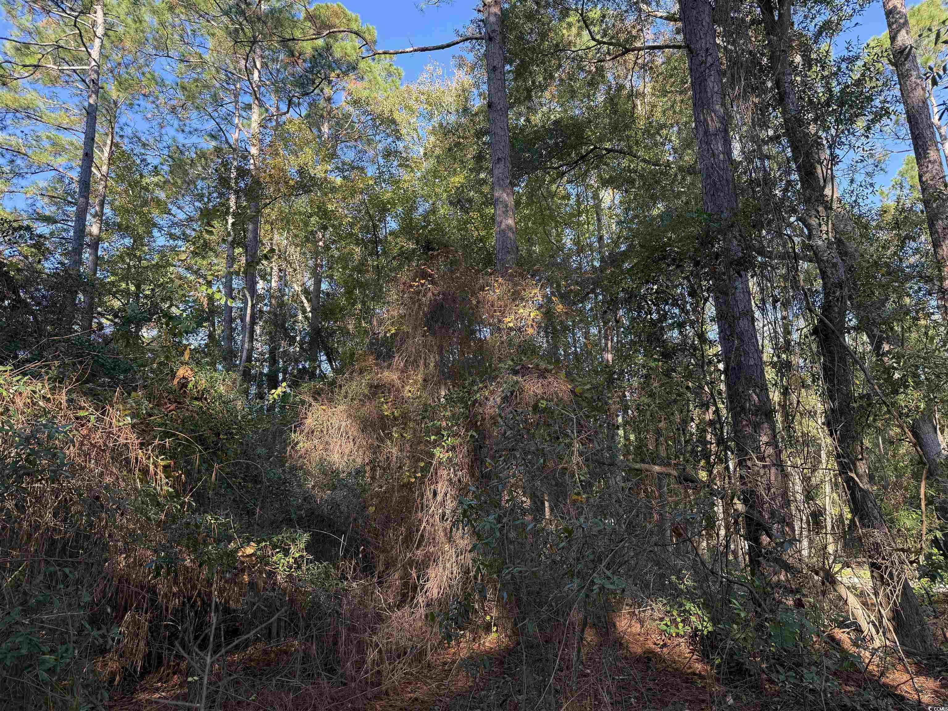 476 Apache Road Georgetown, SC 29440 - Photo 9 of 14 Gallery Image 9