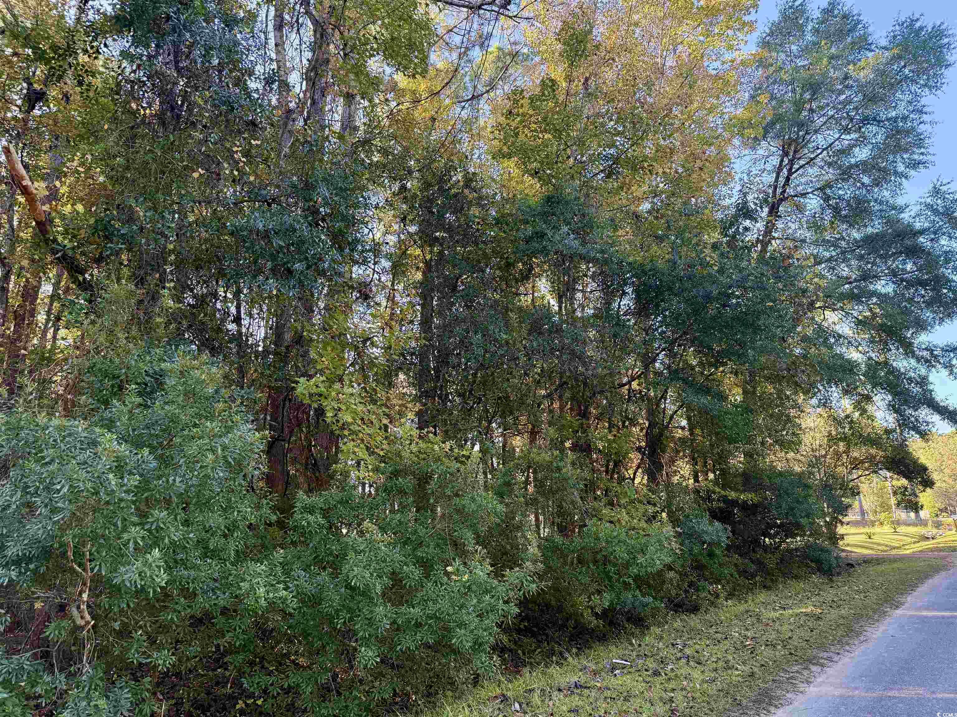 476 Apache Road Georgetown, SC 29440 - Photo 10 of 14 Gallery Image 10
