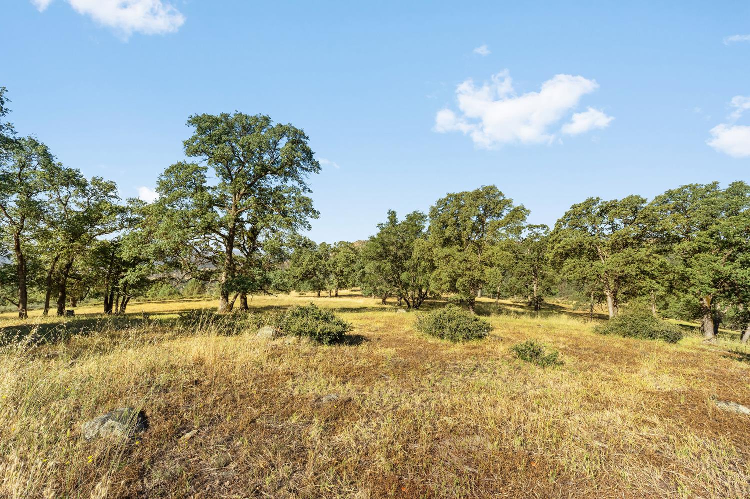1484 Oregon Gulch Road Oroville, CA 95965 - Photo 11 of 78