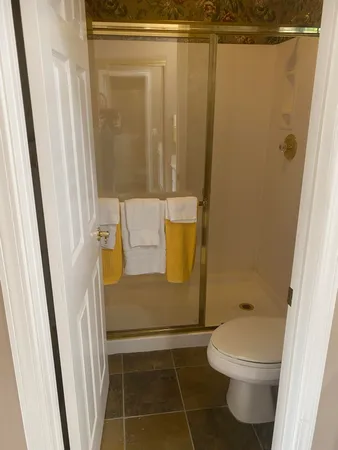 a bathroom with a toilet and a shower