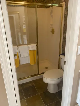 a bathroom with a toilet and a shower