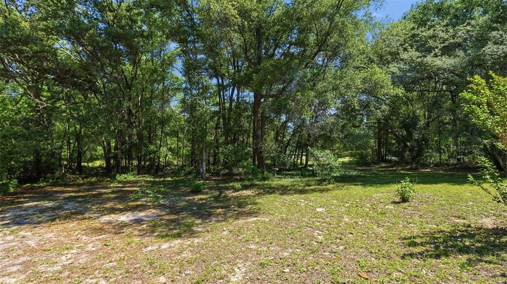 19015 Southwest 101st Place Dunnellon, FL 34432 - Photo 34 of 66
