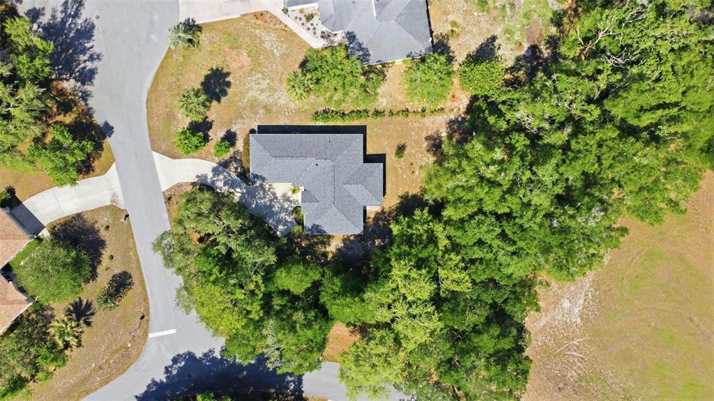 19015 Southwest 101st Place Dunnellon, FL 34432 - Photo 41 of 66