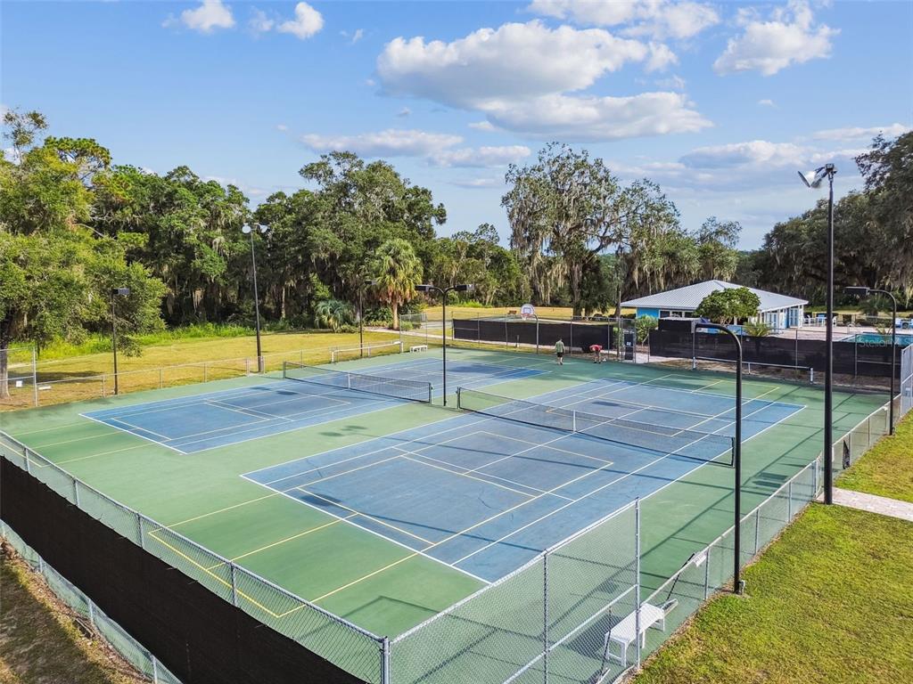 19015 Southwest 101st Place Dunnellon, FL 34432 - Photo 42 of 66