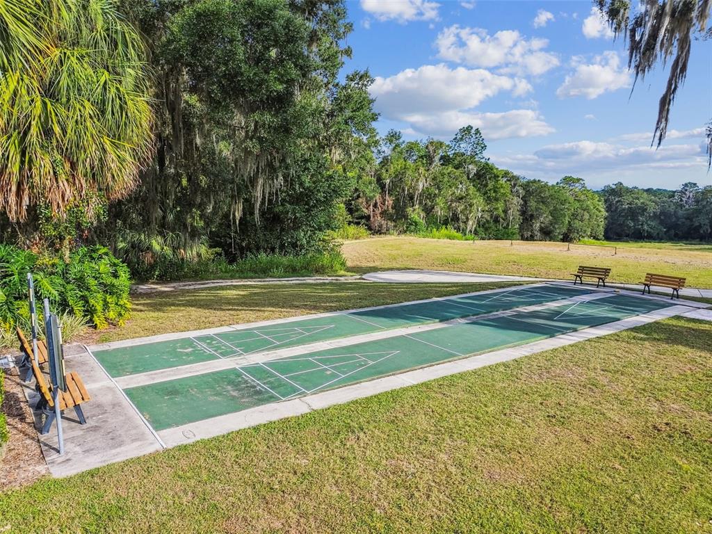 19015 Southwest 101st Place Dunnellon, FL 34432 - Photo 47 of 66