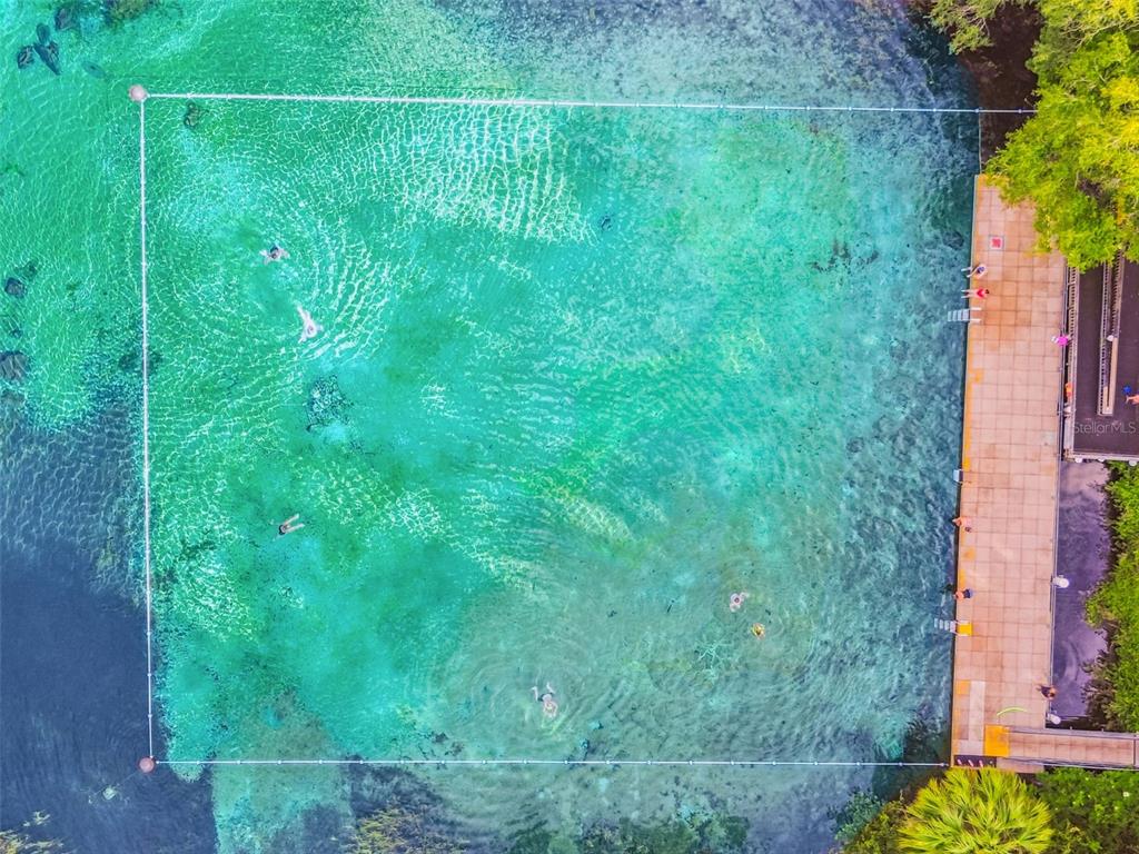 19015 Southwest 101st Place Dunnellon, FL 34432 - Photo 64 of 66