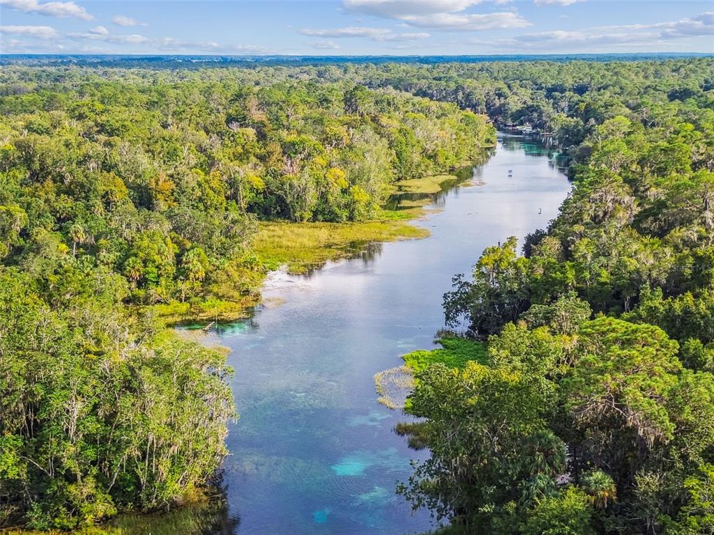 19015 Southwest 101st Place Dunnellon, FL 34432 - Photo 65 of 66