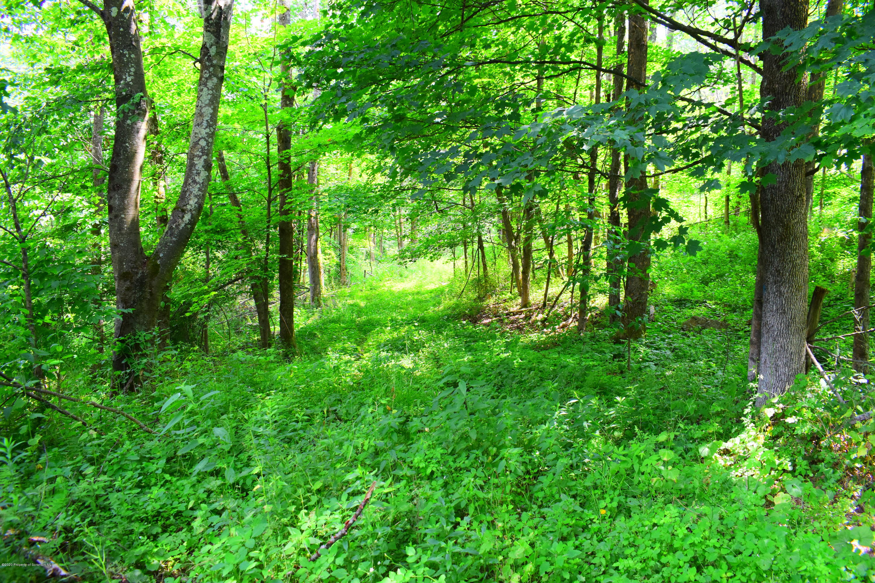 2275 Williams Road Friendsville, PA 18818 - Photo 15 of 40 Gallery Image 15