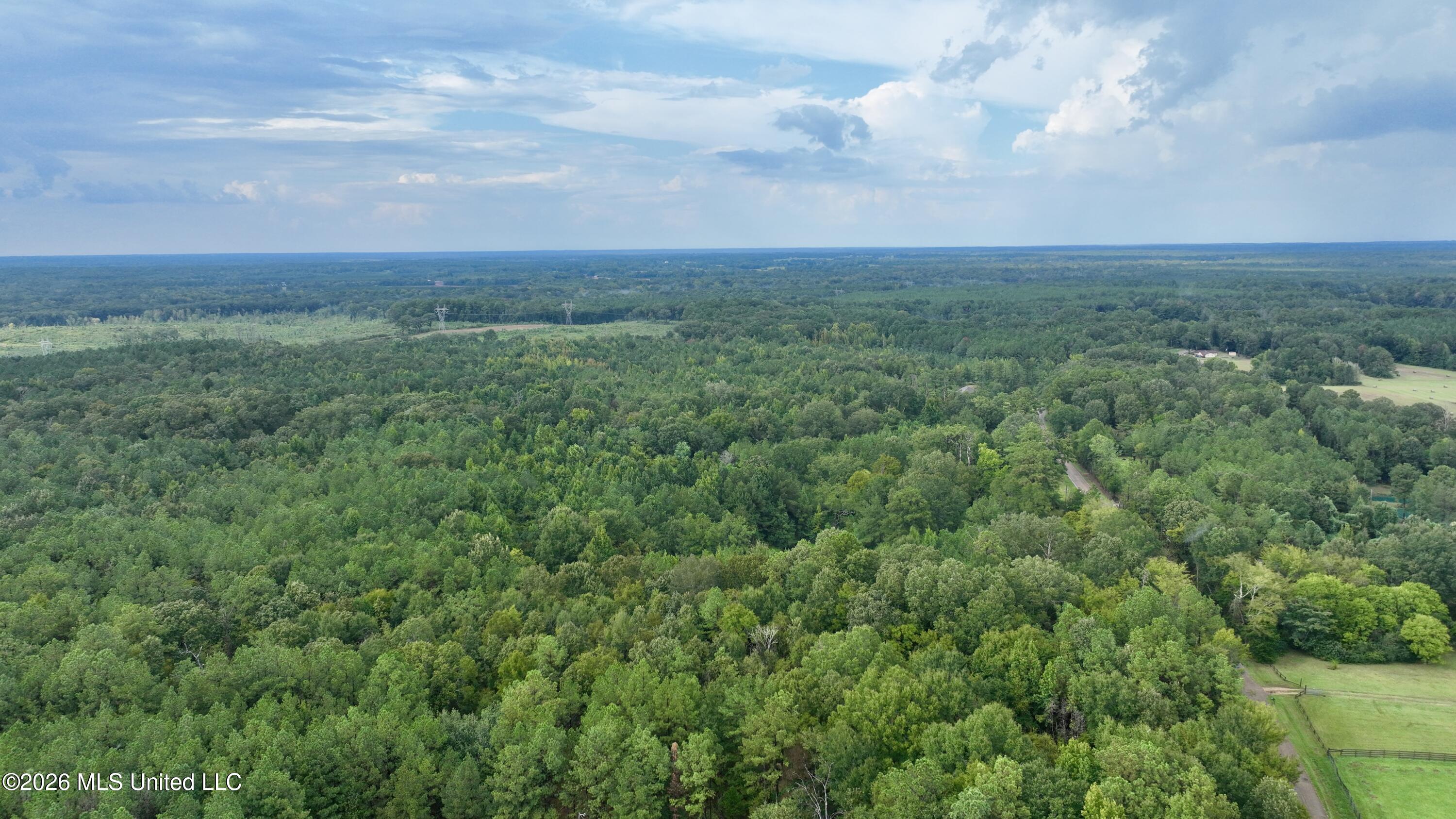1 Tithelo Road Canton, MS 39046 - Photo 7 of 16 58563E04-68CF-4E49-9F36-D7505F230303_1_2