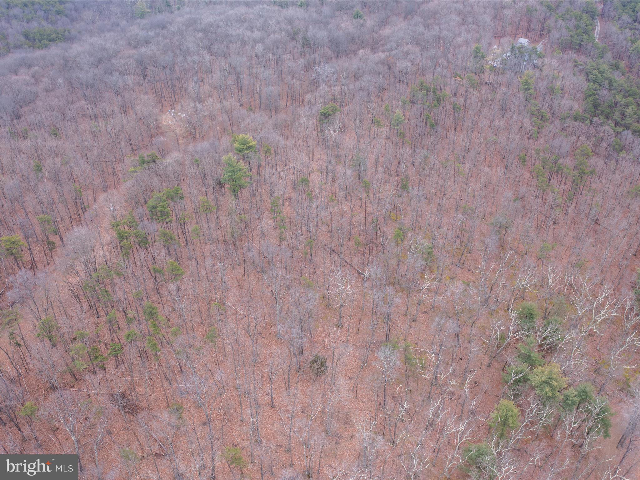 153 Hawk Ridge Trail Berkeley Springs, WV 25411 - Photo 14 of 24 Ariel View