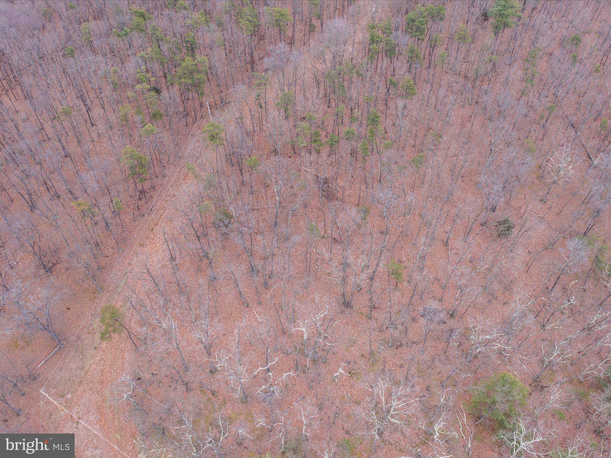 153 Hawk Ridge Trail Berkeley Springs, WV 25411 - Photo 15 of 24 Ariel View