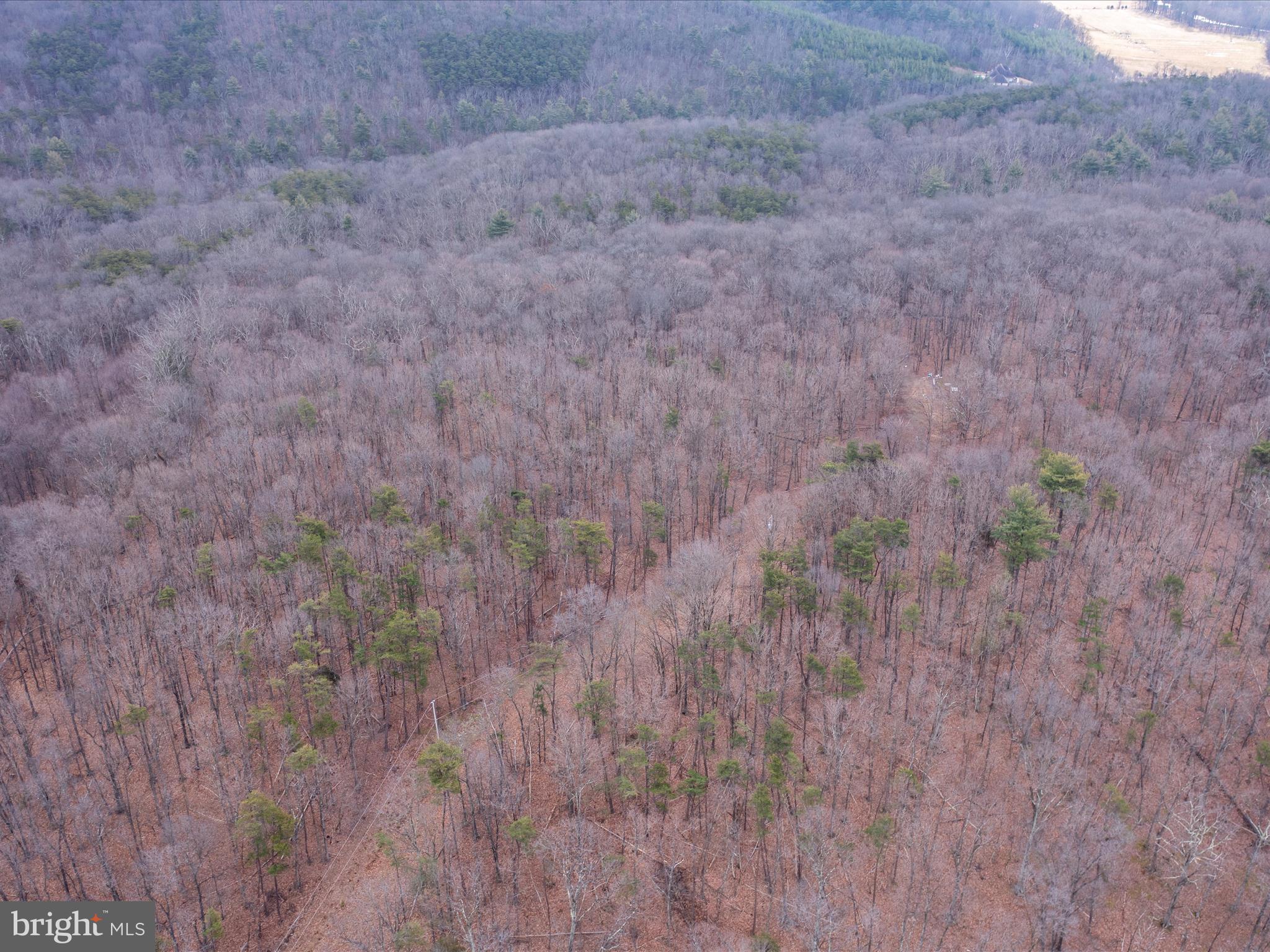 153 Hawk Ridge Trail Berkeley Springs, WV 25411 - Photo 16 of 24 Ariel View