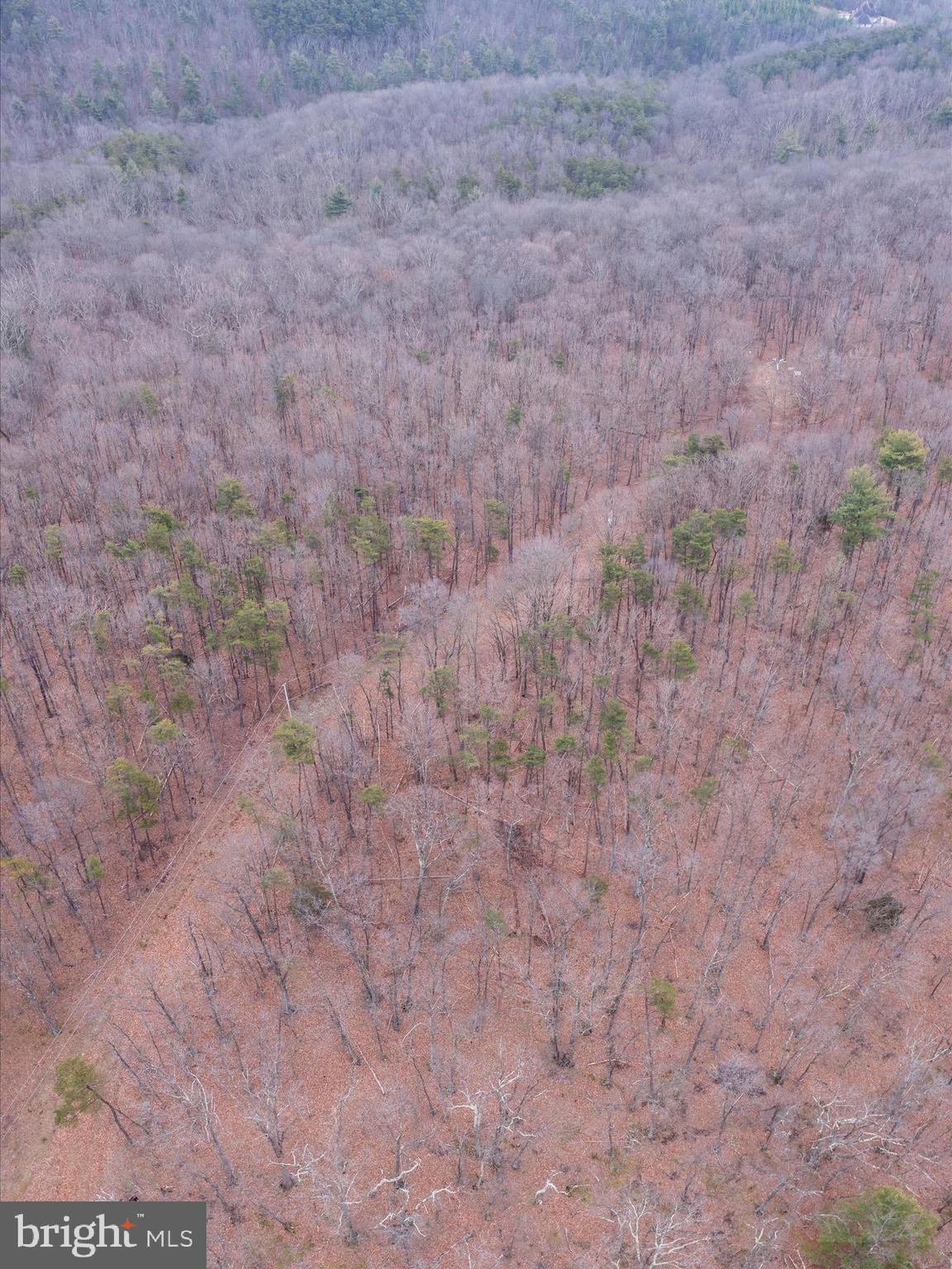 153 Hawk Ridge Trail Berkeley Springs, WV 25411 - Photo 17 of 24 Ariel View