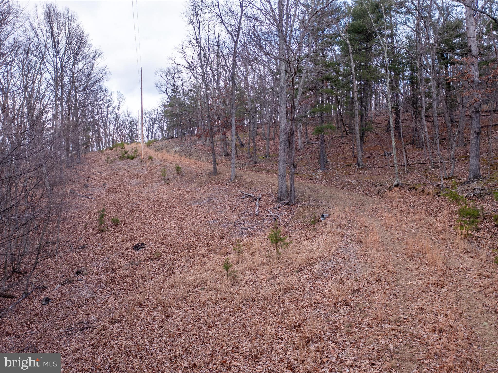 153 Hawk Ridge Trail Berkeley Springs, WV 25411 - Photo 2 of 24 Road through the property