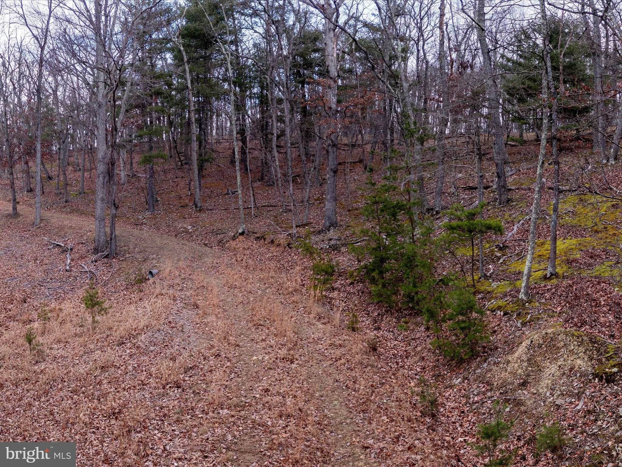 153 Hawk Ridge Trail Berkeley Springs, WV 25411 - Photo 3 of 24 Road through the property