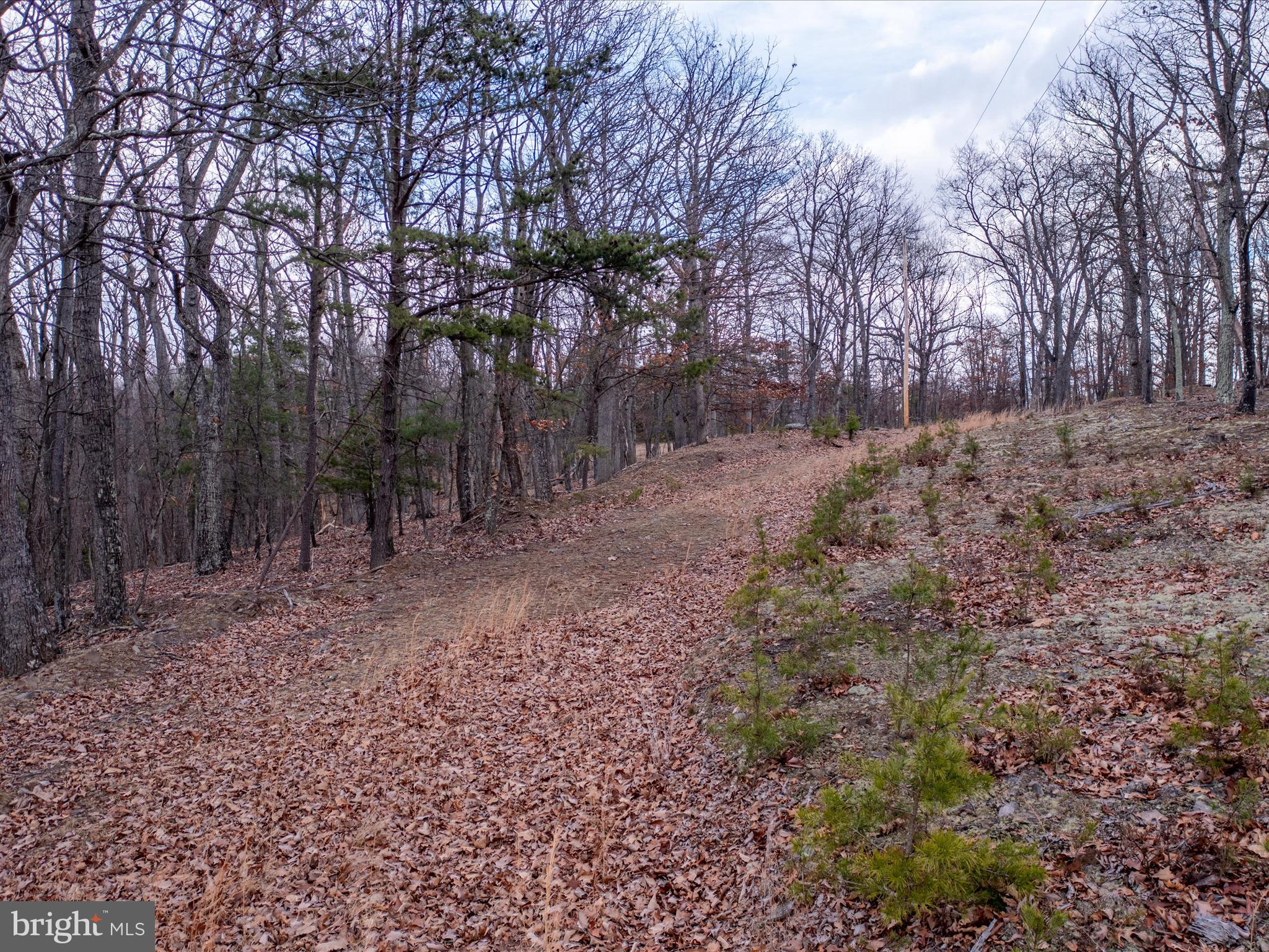 153 Hawk Ridge Trail Berkeley Springs, WV 25411 - Photo 4 of 24 Road through the property