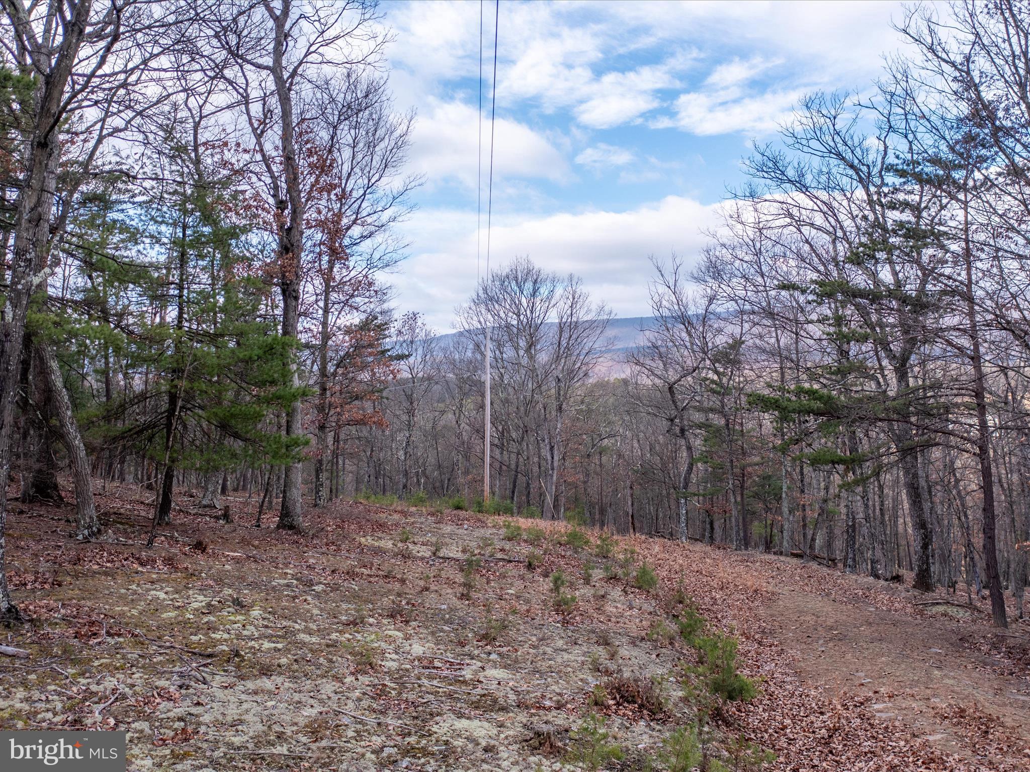 153 Hawk Ridge Trail Berkeley Springs, WV 25411 - Photo 5 of 24 Road through the property/View
