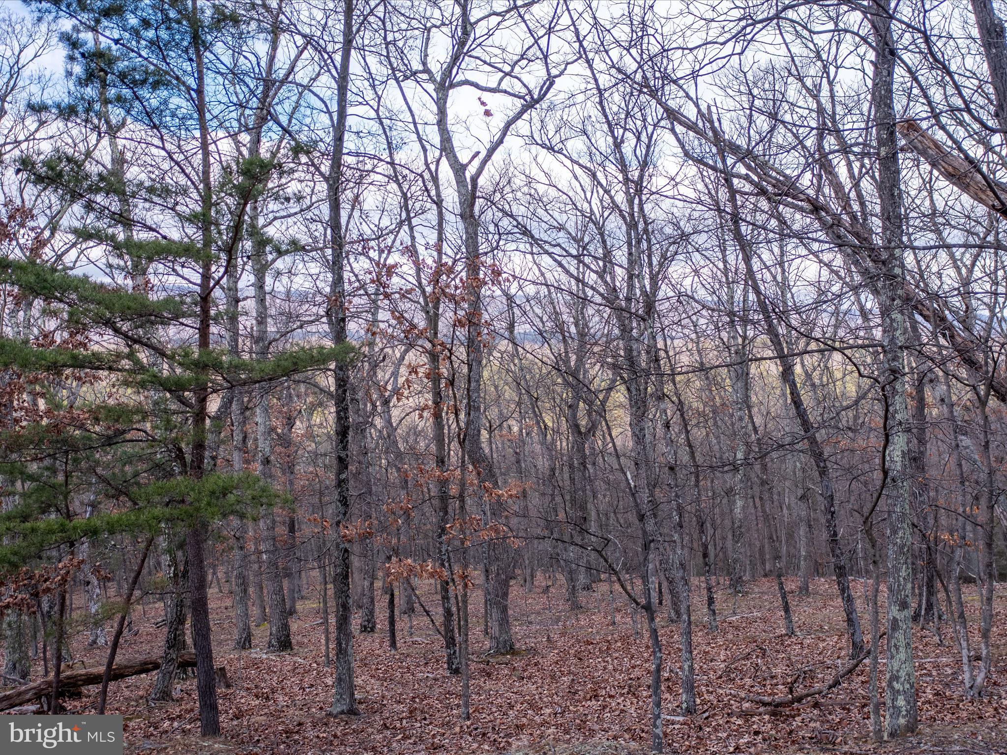 153 Hawk Ridge Trail Berkeley Springs, WV 25411 - Photo 6 of 24 View