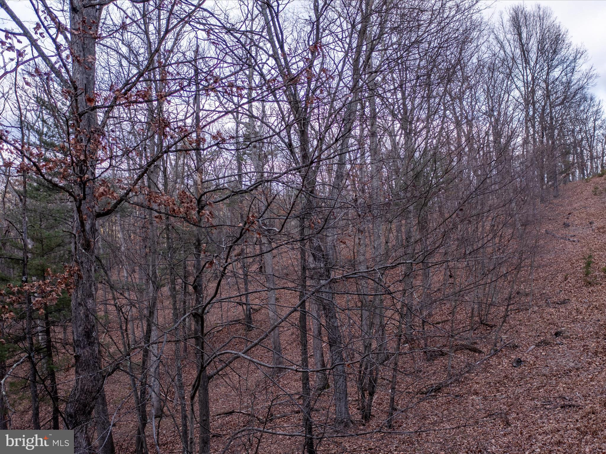 153 Hawk Ridge Trail Berkeley Springs, WV 25411 - Photo 7 of 24 View