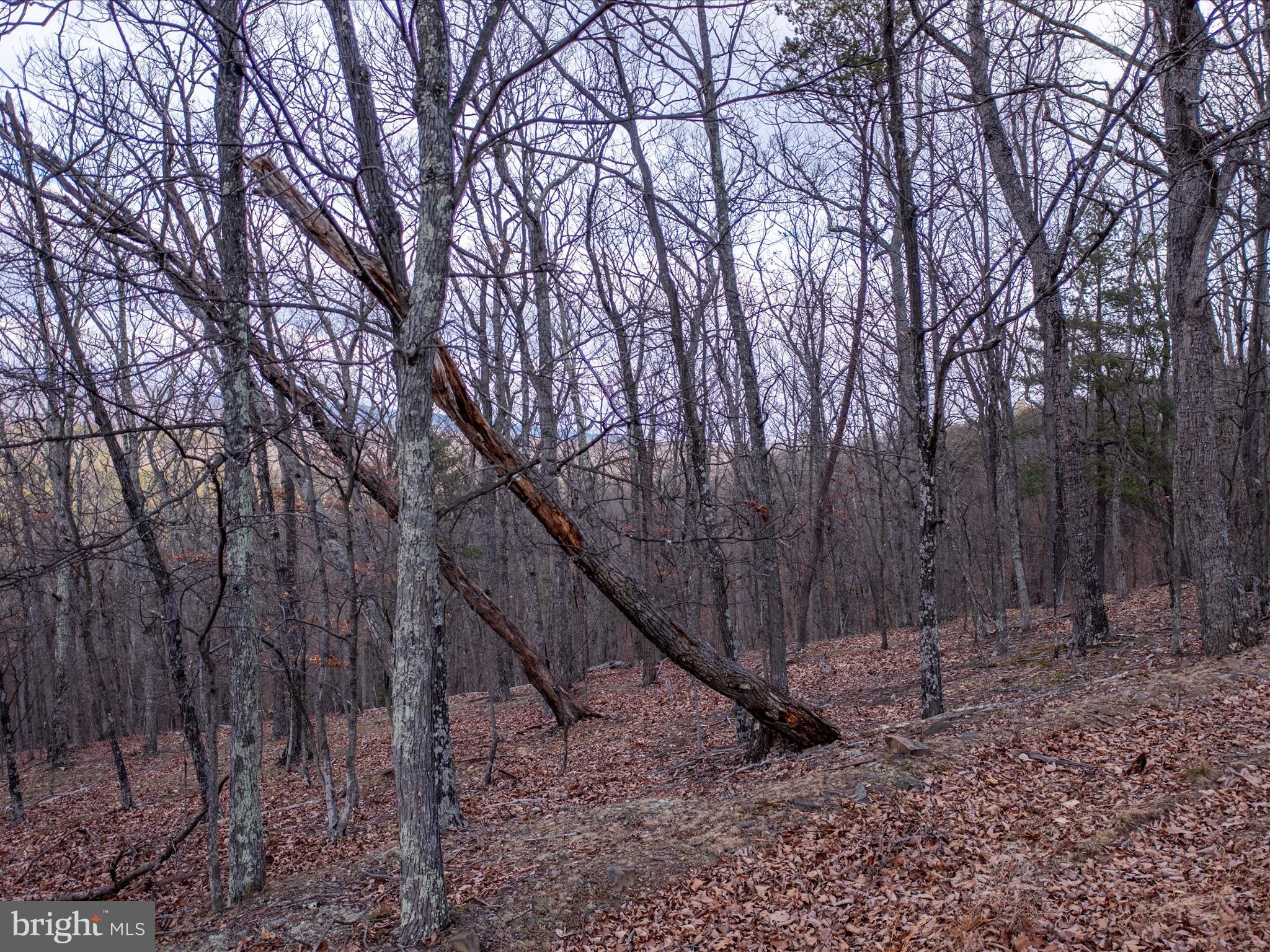 153 Hawk Ridge Trail Berkeley Springs, WV 25411 - Photo 8 of 24 View