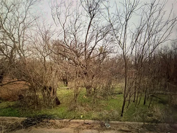 a view of a yard