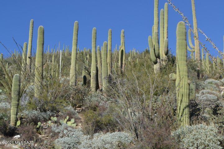 12265 East Coronado Road, Unit 46 Tucson, AZ 85749 - Photo 5 of 41