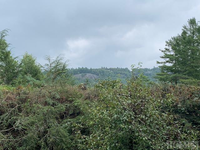 31 Old Farm Road Highlands, NC 28741 - Photo 1 of 10 Gallery Image 1