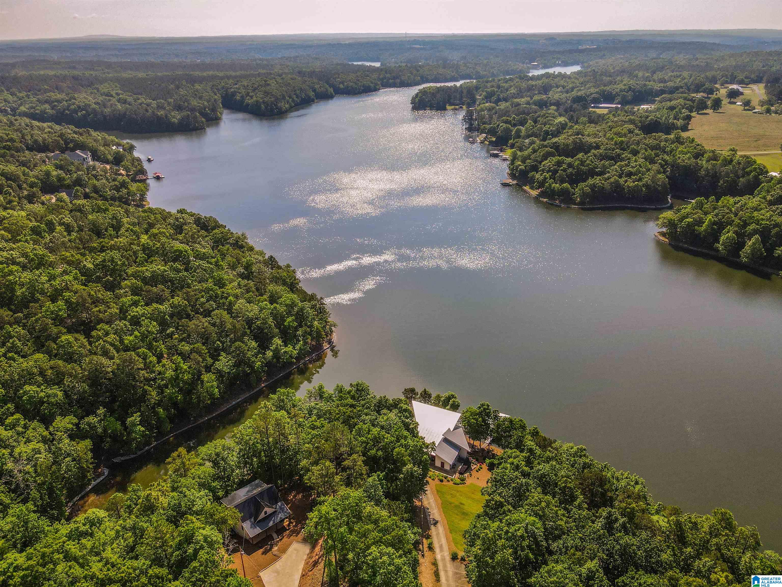 189 County Road 3294 Wedowee, AL 36278 - Photo 6 of 50