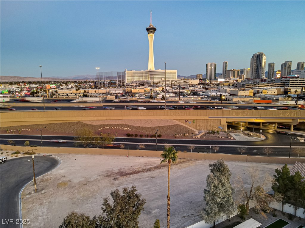 Silver Las Vegas, NV 89102 - Photo 11 of 33