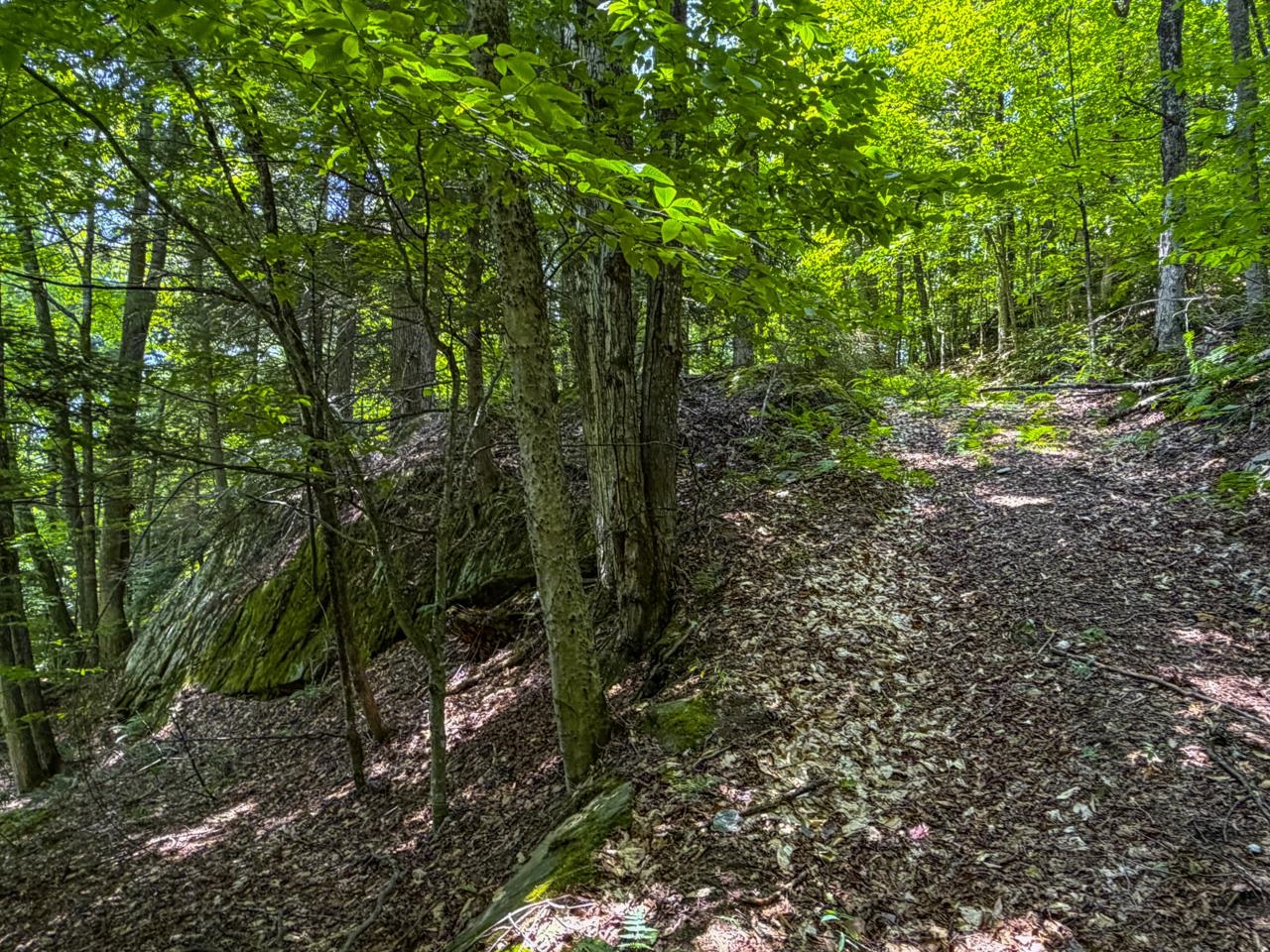 Tbd Taylor Road, Unit 9 Waterbury, VT 05676 - Photo 29 of 39 Gallery Image 29