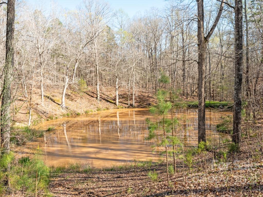 7105 Old Ridge Road Waxhaw, NC 28173 - Photo 41 of 46 Gallery Image 41